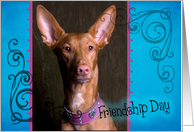 Friendship Day card featuring a Pharaoh Hound card