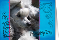 Friendship Day card featuring a Toy Poodle card