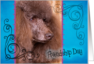 Friendship Day card featuring a brown Standard Poodle card