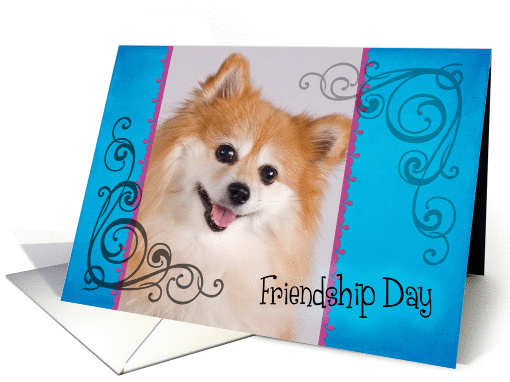 Friendship Day card featuring a Pomeranian card (834125)