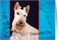 Friendship Day card featuring a wheaton Scottish Terrier card