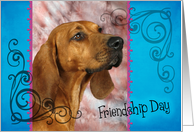 Friendship Day card featuring a Redbone Coonhound card