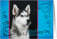 Friendship Day card featuring a Siberian Husky card
