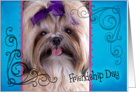 Friendship Day card featuring a Shih Tzu card