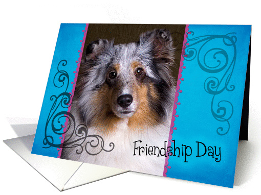 Friendship Day card featuring a blue merle Shetland Sheepdog card