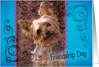 Friendship Day card featuring a Yorkshire Terrier card