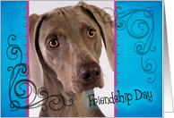 Friendship Day card featuring a Weimaraner card