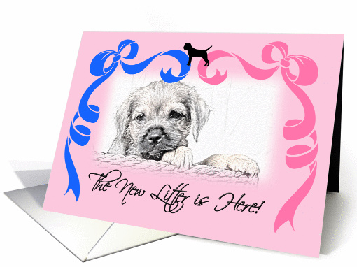 Border Terrier New Litter Announcement card (834560)