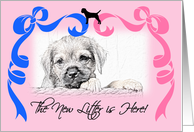 Border Terrier New Litter Announcement card