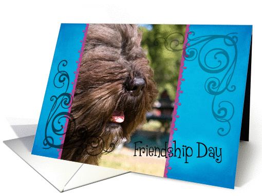 Friendship Day card featuring a Bouvier Des Flandres card (836321)