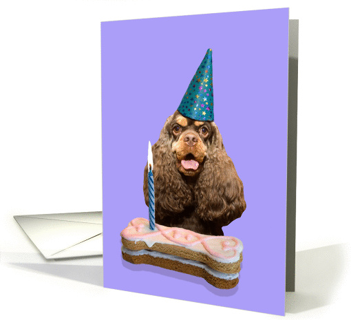 Happy Birthday featuring a chocolate/tan American Cocker Spaniel card