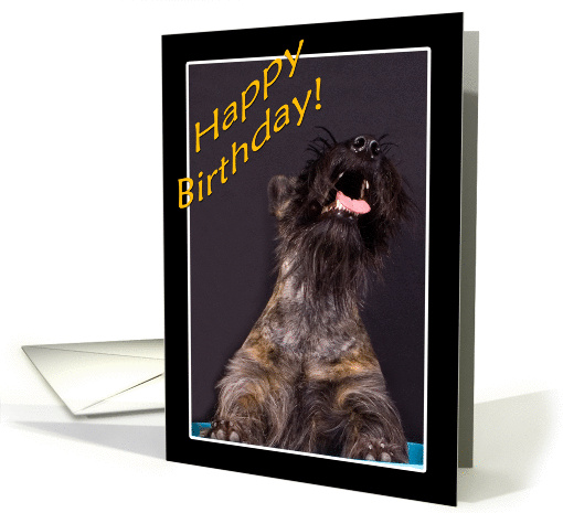 Happy Birthday - featuring a Scottish Terrier card (859182)