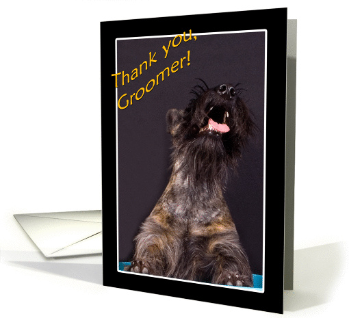 Thank you to Groomer - featuring a Scottish Terrier card (859185)