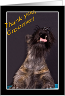 Thank you to Groomer - featuring a Scottish Terrier card