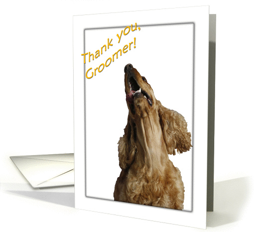Thank you to Groomer - featuring a Cocker Spaniel card (859190)
