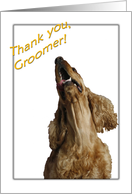 Thank you to Groomer - featuring a Cocker Spaniel card