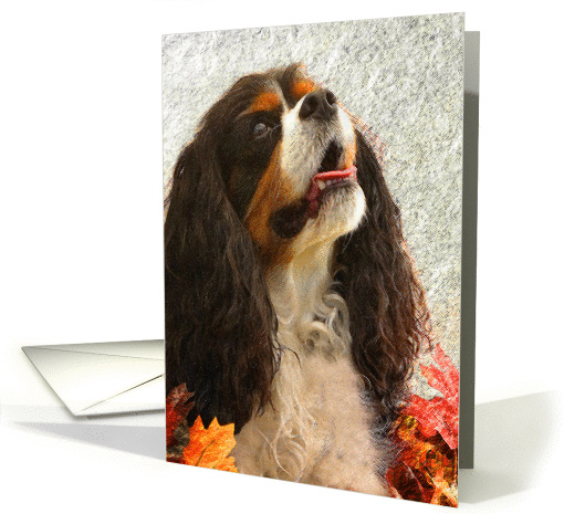 Cavalier King Charles Spaniel - digital artwork rendering card