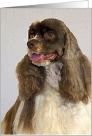 Cocker Spaniel rendered in Digital Artwork card
