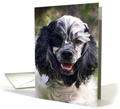 Blank card featuring a Cocker Spaniel card (900040)