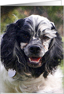 Blank card featuring a Cocker Spaniel card