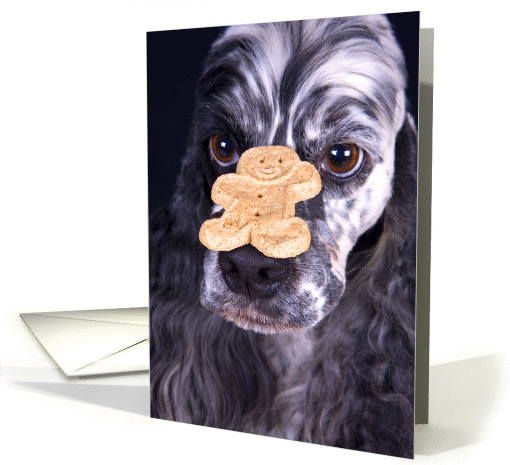 Congratulations - featuring a Cocker Spaniel card (902160)