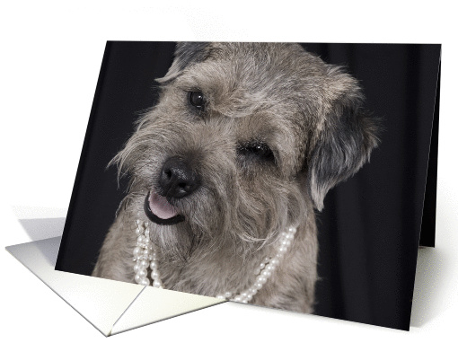 Border Terrier: Let's Get Together! card (903612)