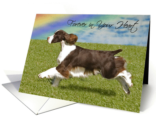 Pet Loss Sympathy Card - Forever In Your Heart card (908379)