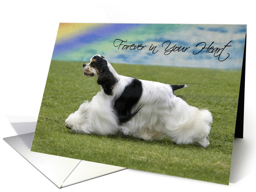 Pet Loss - Forever In Your Heart (Parti Cocker Spaniel) card (916343)