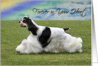 Pet Loss - Forever In Your Heart (Parti Cocker Spaniel) card