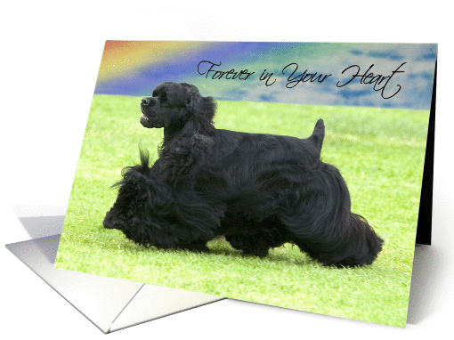 Pet Loss - Forever In Your Heart (Black Cocker Spaniel) card (916353)