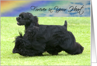 Pet Loss - Forever In Your Heart (Black Cocker Spaniel) card