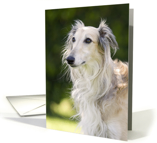 Blank card - featuring a Silken Windhound card (983591)