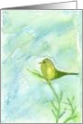 Mothers Birthday Card, Bird Art card