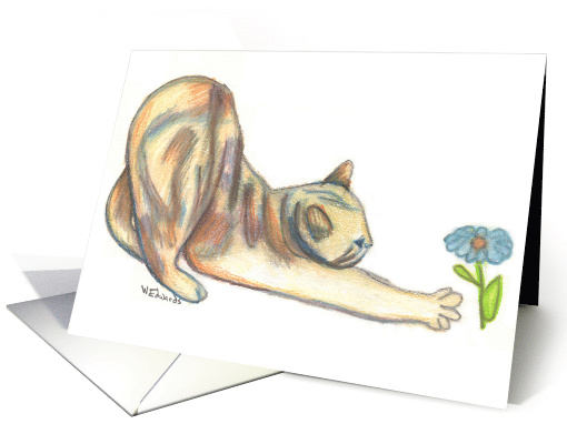 Butterfly Garden Cat 2 card (425382)