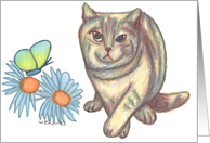 Butterfly Garden Cat 1 Card