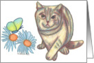 Butterfly Garden Cat 1 Card