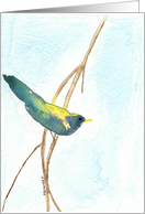 Song Bird Watercolor Art card