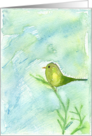 Song Bird Art Green and Yellow Watercolor Painting card
