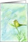 Song Bird Art Green and Yellow Watercolor Painting card