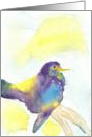 Bird Art, blue, purple and yellow bird card