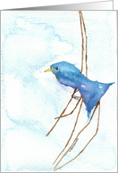 Bird Art, blue bird card