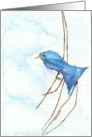 Bird Art, blue bird card
