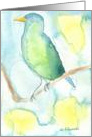 Song Bird Watercolor Painting, blank note card