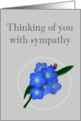 Forget Me Not Sympathy card