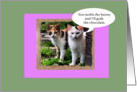 Funny Easter Card Mean Cats card