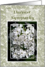 White Phlox Sympathy card