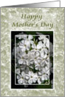 White Phlox Happy Mother’s Day card