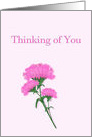 Thinking or you, Pink Carnations card