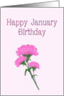 Happy January Birthday, Pink Carnations card