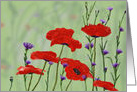 Blank Inside Stationery Poppies and Bachelor Buttons card